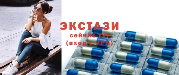 гидра Надым