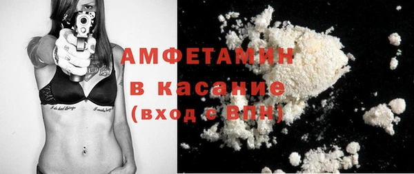 гидра Надым