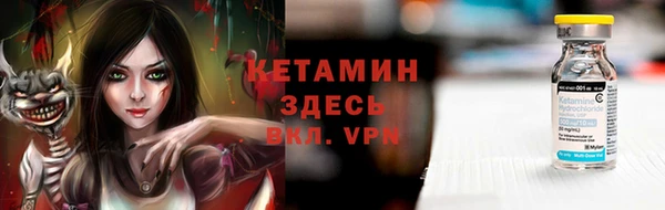 гидра Надым