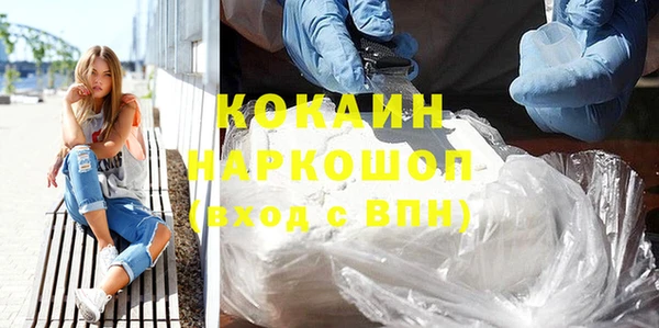 гидра Надым
