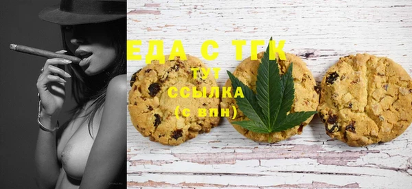 гидра Надым