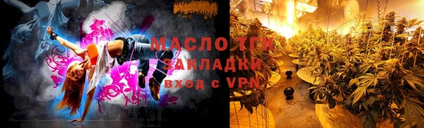 гидра Надым