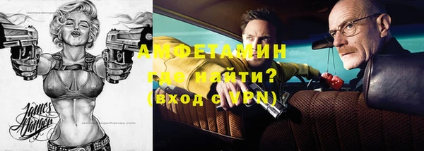 гидра Надым