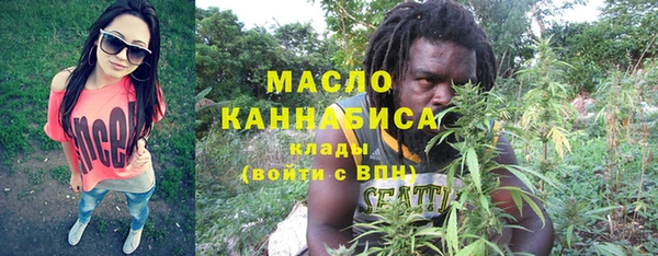 гидра Надым