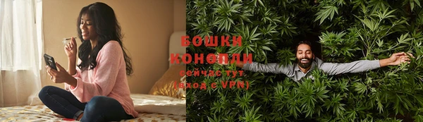 гидра Надым