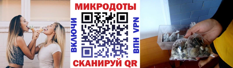 как найти закладки  Серафимович  Галлюциногенные грибы мицелий 